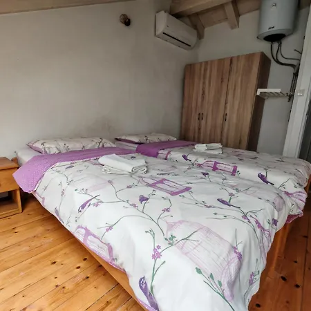 Patricija Apartman *